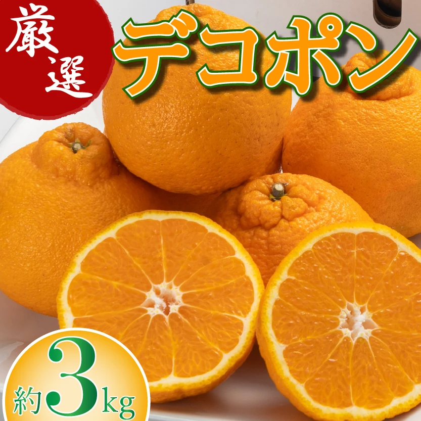 [B]【厳選】濃厚デコポン　約3Kg （1枚目）