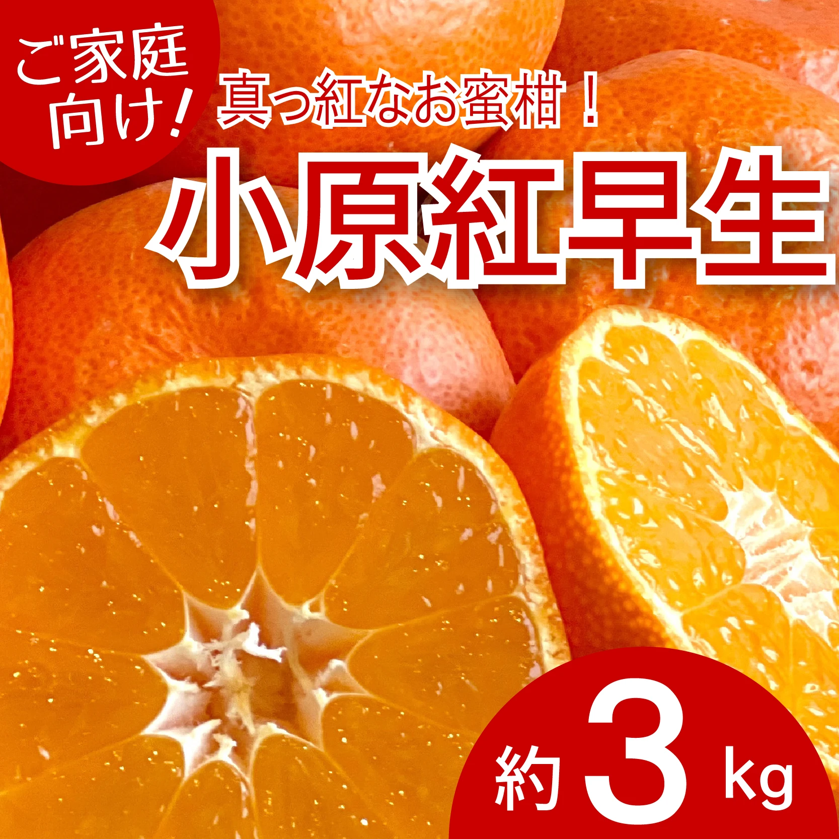 [B]【ご家庭向け】小原紅早生みかん(約3Kg) （1枚目）