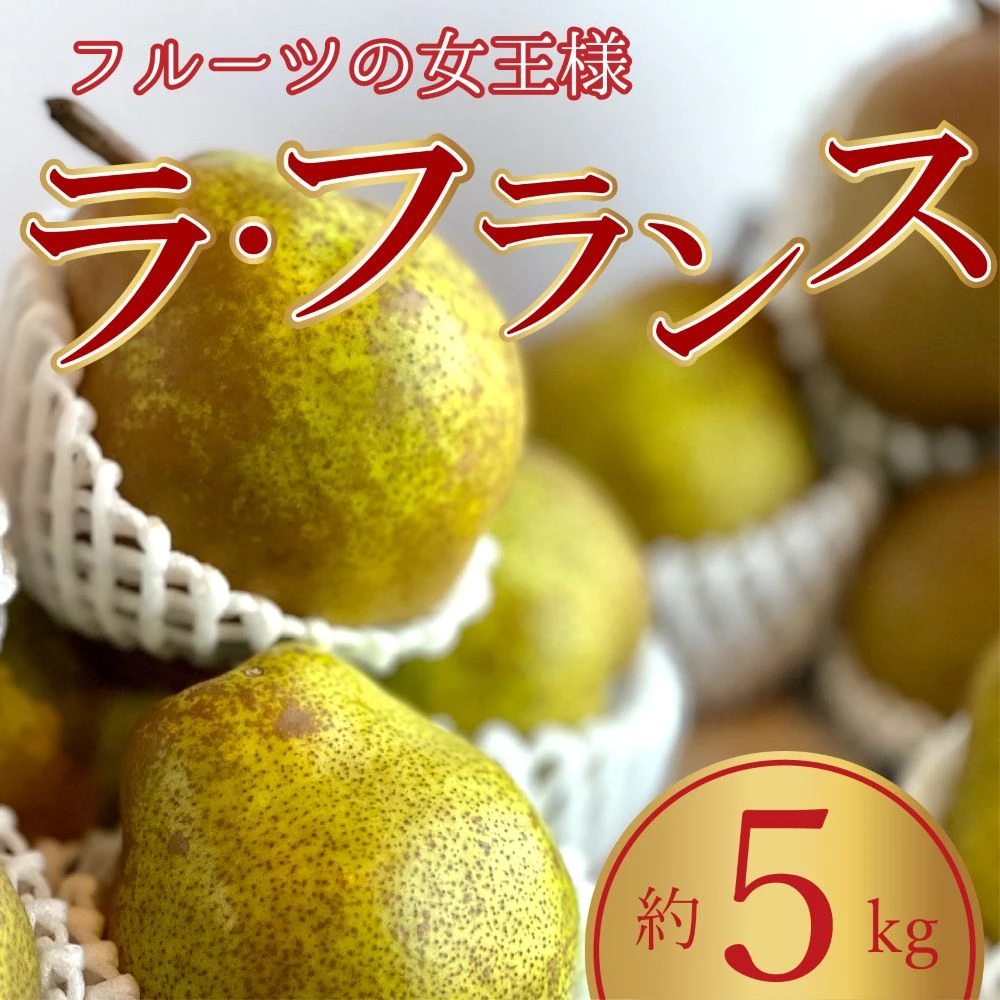 [B]【フルーツの女王様】ラ・フランス　(約5kg) (冷蔵) （1枚目）