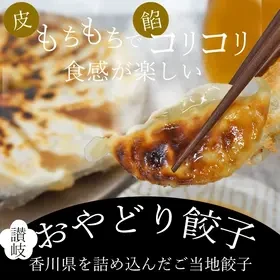 [T]讃岐おやどり餃子100個入り(冷凍） （1枚目）