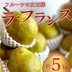 [B]【フルーツの女王様】ラ・フランス　(約5kg) (冷蔵)
