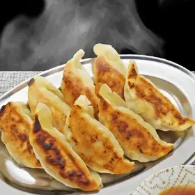 [T]讃岐おやどり餃子100個入り(冷凍） （2枚目）